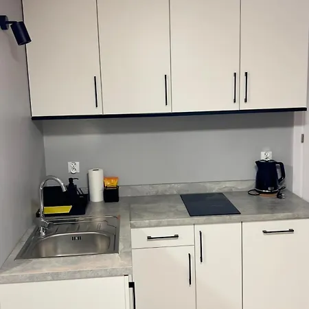 Dąbrówka Cieplice Zdrój 1,15 Apartament *