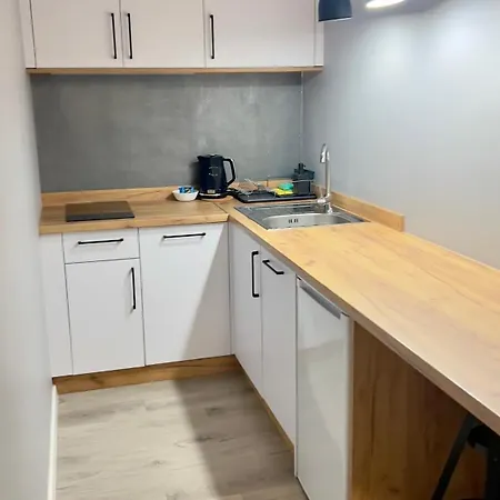 Апартаменты Dabrowka Cieplice Zdroj 1,15 *